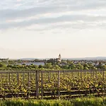 Boutique Skoupil Velké Bílovice