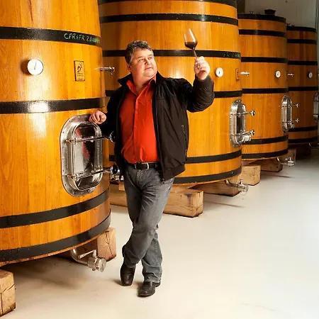 Rodinné Vinařství Skoupil Pensión Velké Bílovice