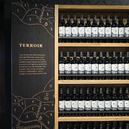 Boutique Skoupil Гостевой дом Вельке-Биловице