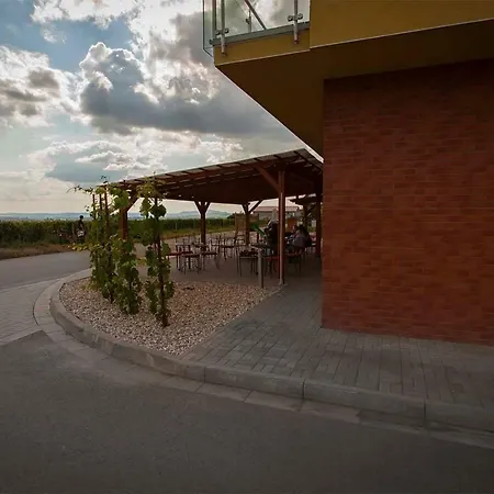 Guest house Rodinne Vinarstvi Skoupil Velke Bilovice