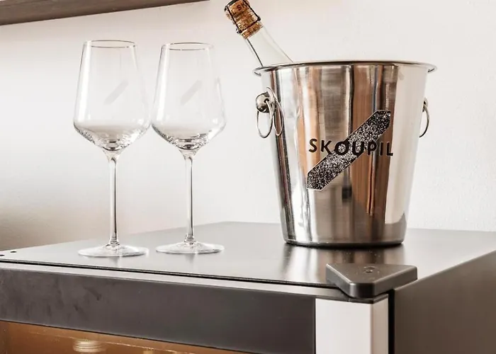 Gæstehus Boutique Skoupil
