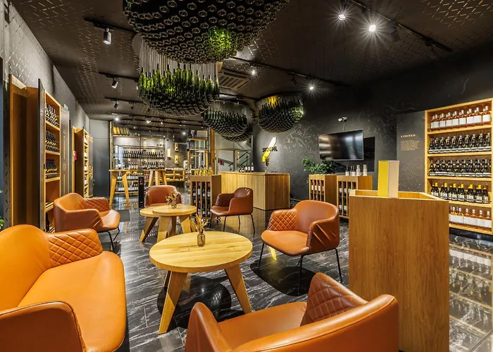 Gæstehus Boutique Skoupil 3*