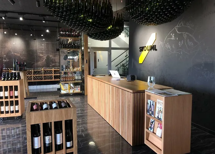 Gæstehus Boutique Skoupil