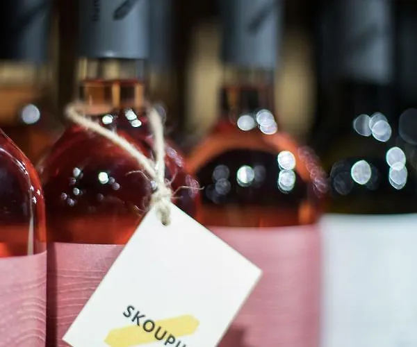 Boutique Skoupil Velké Bílovice