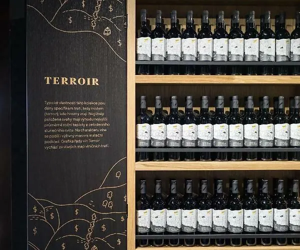 Boutique Skoupil Gæstehus Velké Bílovice