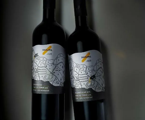 Boutique Skoupil Gæstehus